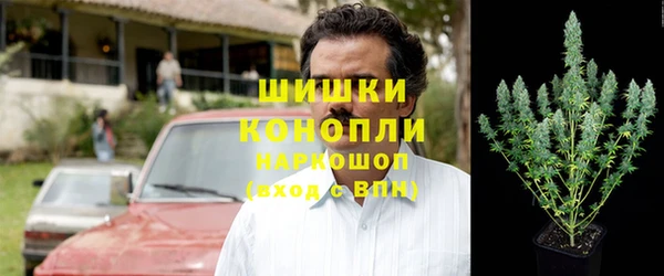 прущие грибы Краснослободск