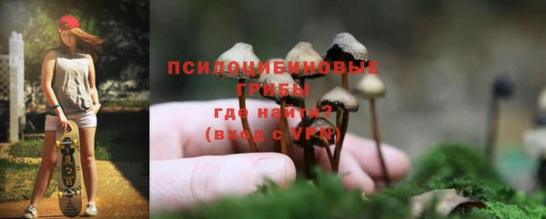 мдпв Краснотурьинск