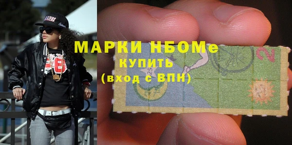 прущие грибы Краснослободск