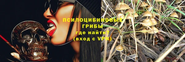 дмт Кулебаки