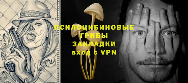 мдпв Краснотурьинск