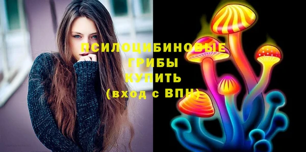 мдпв Краснотурьинск