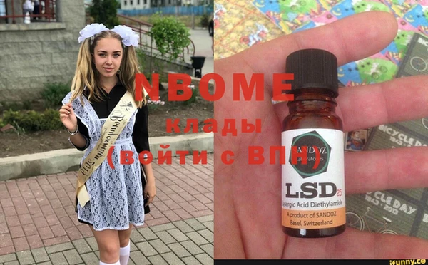прущие грибы Краснослободск